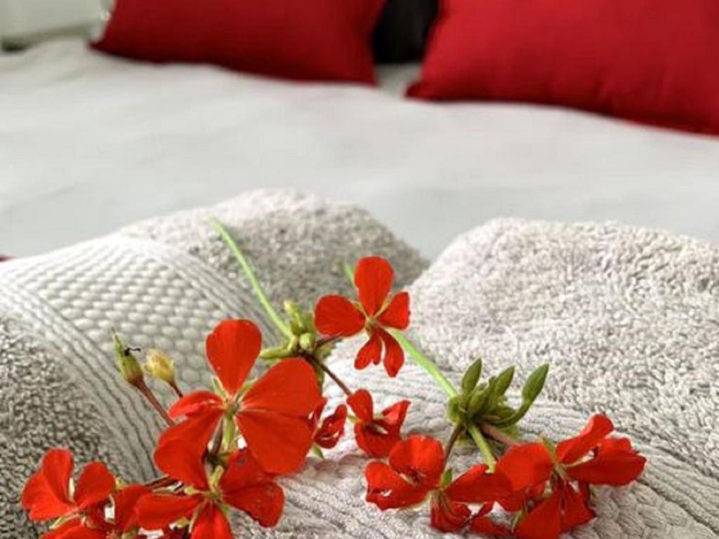 Stay Harties Accommodation 哈特比斯普特 外观 照片